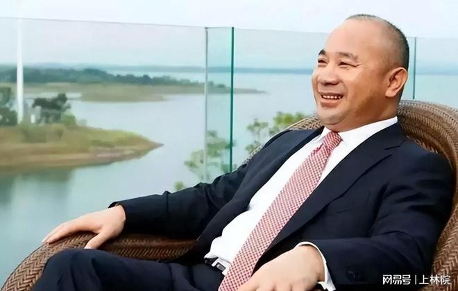 身家千亿全靠“赌”IM电竞 电子竞技平台？中国富豪拿下全球20座矿山一年狂赚7200亿(图5)