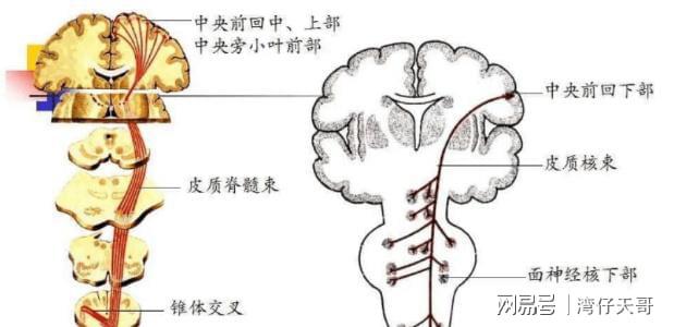 哥哥自制无价呼吸机为弟续命用简陋的零件换来12IM电竞 IM电竞平台年每一口呼吸(图11)