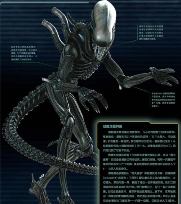 重口、恐怖、诡秘的“生物机械”已IM电竞 电子竞技平台经火了三十年(图9)