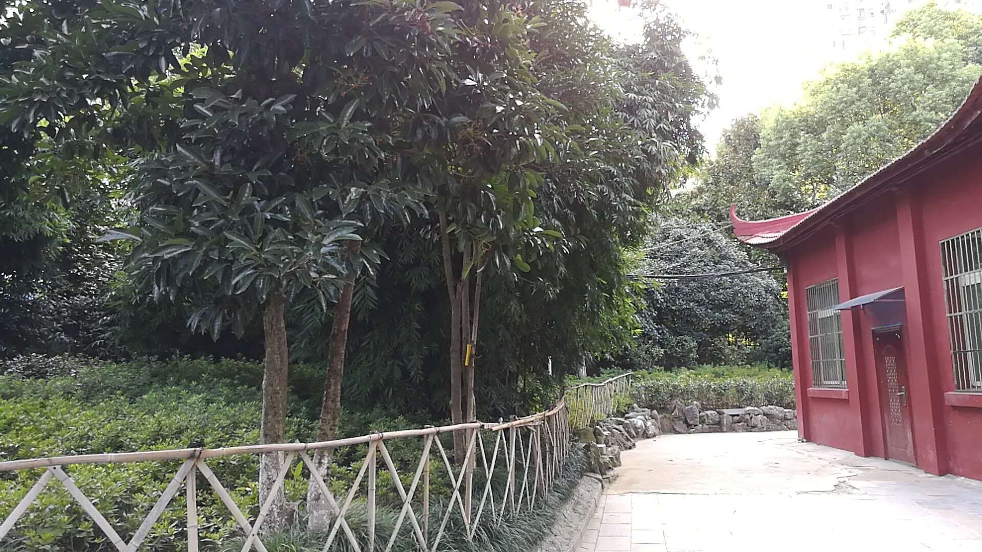 废弃物在公园找到“新家”：机械零部件做雕塑铁路枕木做汀步IM