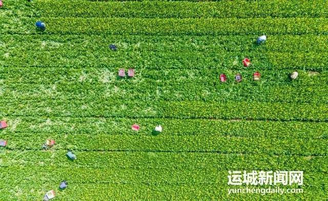 “跃”见夏都IM电竞 IM电竞平台