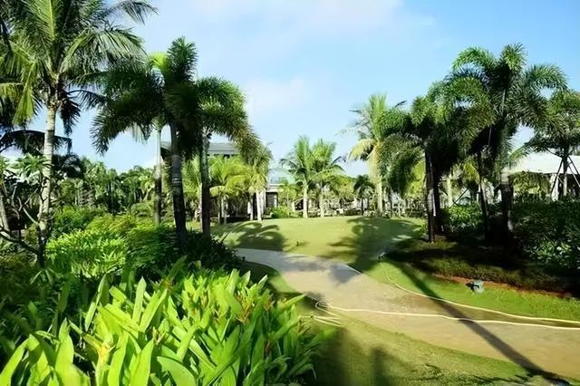 “跃”见夏都IM电竞 IM电竞平台(图6)