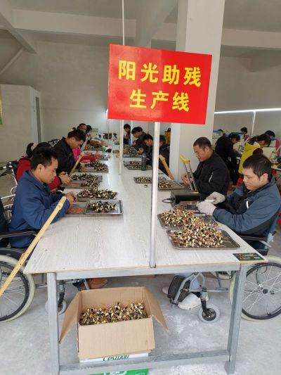 2022年残疾人新增就业573万人已完成“三年新增百万就业”目标一半｜2022中国经IM电竞 IM电竞app济年报(图2)