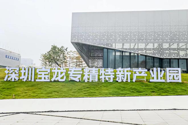 跟着企业走宝龙：打造制造之城产业“新支撑”｜宝藏街道·斜杠城区②IM电竞 电子竞技平台(图2)