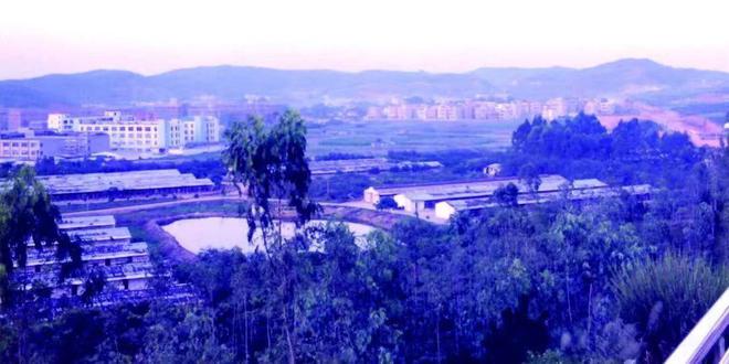 跟着企业走宝龙：打造制造之城产业“新支撑”｜宝藏街道·斜杠城区②IM电竞 电子竞技平台(图5)