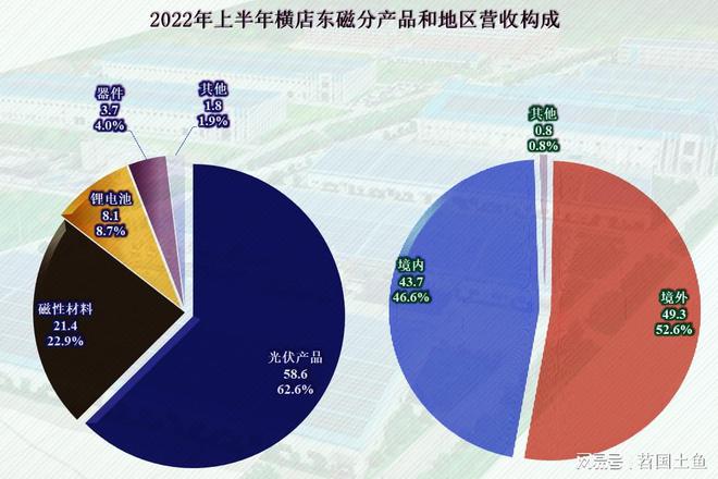 IM电竞 IM电竞app从财报看横店东磁增长既快又稳但要长期高速增长可能不太现实(图4)