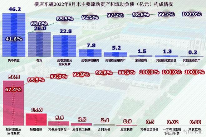 IM电竞 IM电竞app从财报看横店东磁增长既快又稳但要长期高速增长可能不太现实(图9)