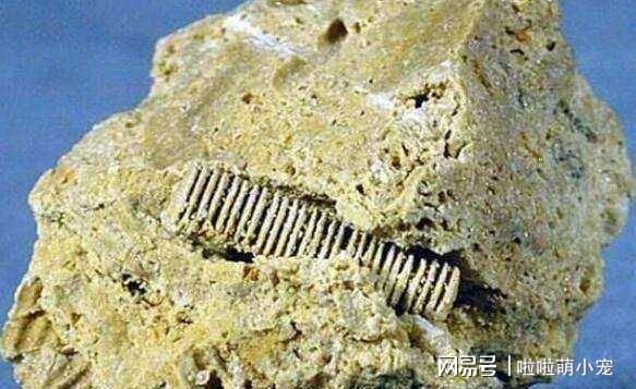 IM电竞 IM电竞app地球文明是轮回反复的？科学家在3亿年岩层中发现“金属车轮”(图7)
