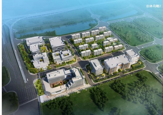 IM电竞 IM电竞app江苏徐州：项目建设春节“不打烊”拼出“加速度”冲刺“开门红”(图9)