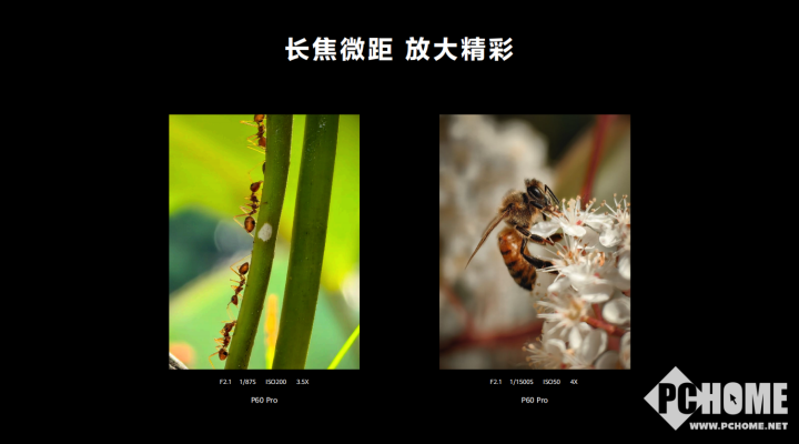 Q1手机销量增长41IM电竞 IM电竞平台%华为P60、Mate X3凭什么？(图6)