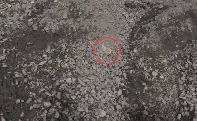 广西男子进碎石机测零件机器启动被绞身亡家属称工人知情不报IM电竞 IM电竞app(图4)