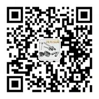 硬质合金-合金模具加工-耐磨件厂家「湖IM电竞 IM电竞平台南株洲长沙硬质生产」就选株洲鸿光公司(图1)